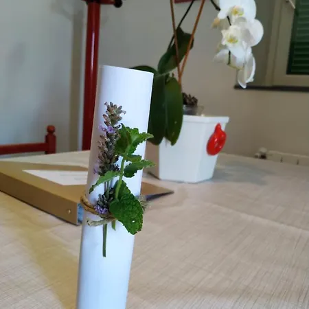 公寓 Il Giardino Di Marzo Monti di Licciana Nardi